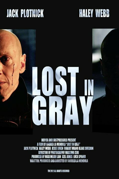 Lost in Gray (2014)