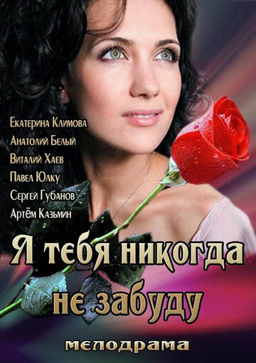 Я тебя никогда не забуду (2013)